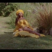 VIDEO: Watch Beyonce's New Music Video for 'Brown Skin Girl' Video