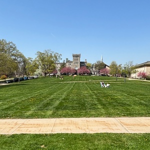 Student Blog: Manhattanville University's Theatre Program: An Interview with Vincent Mraz