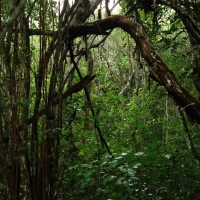 Memoria, Inclusión E Interdisciplina Protagonizarán La Noche De Museos De Abril En  Video