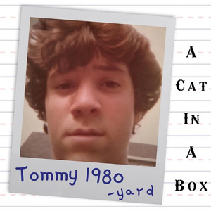 A CAT IN A BOX Comes to The Tank NYC This November Photo