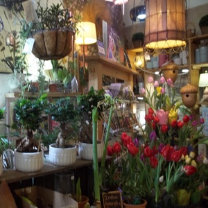 Student Blog: My Offenses Towards Dance Substitutes Photo