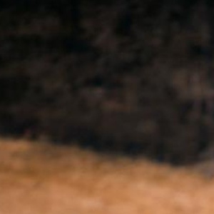 Wynonna Releases Video for New Song 'Am I Missing Out' Ahead of Upcoming Album