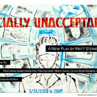 Matt Steinberg's SOCIALLY UNACCEPTABLE To Premiere Via Zoom Photo