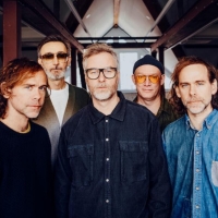 The National Share 'Eucalyptus' Single Photo