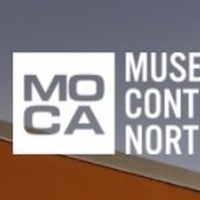 MOCA to Reopen with 'Raúl de Nieves ETERNAL RETURN AND THE OBSIDIAN HEART Photo