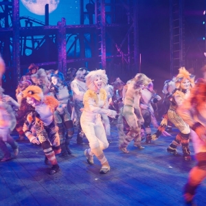 Video: First Look at Immersive CATS at the Fulton Theatre Photo
