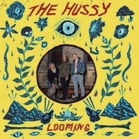 Dirtnap Records Announces New LP from the Hussy Photo