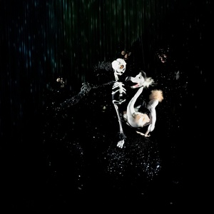 Review: DEAD AS A DODO A SPELLBINDING DELIGHT at Studebaker Theater At The Fine Arts Build Photo