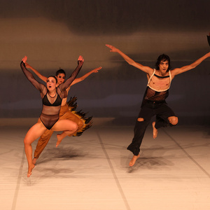 THE BIRDS by Lenio Kaklea to Make New York Premiere at Crossing The Line Festival Photo