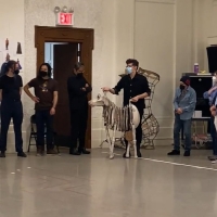 VIDEO: Take a Look Back at the Company of Encores! INTO THE WOODS Meeting Milky…