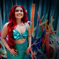 BWW Review: STAGES PANTO LITTLE MERMAID is a  Glorious Romp Photo