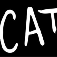 CATS is Coming to Jacksonville's Times-Union Center Photo