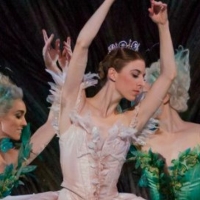 VIDEO: Watch the Australian Ballet's Full Production of THE SLEEPING BEAUTY Photo