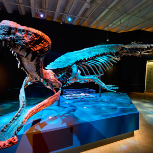 CROC! LOST GIANTS TO LIVING LEGENDS Makes World Premiere Photo