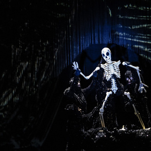 ArtsEmerson Will Present DEAD AS A DODO in February 2026 Photo