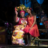BWW Review: ONCE ON THIS ISLAND at Hershey Theatre Photo