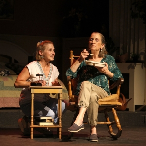 Review: Stray Dog Theatre Has A Senior Moment With The Hilarious Ripcord Photo