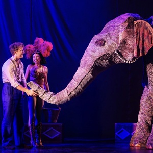 Review: WATER FOR ELEPHANTS at Shea’s Buffalo Theatre Photo