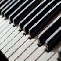 Student Blog: Ode to 'Steve'