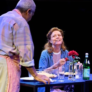 Review: MARY PAGE MARLOWE, Starring Susan Sarandon and Andrea Riseborough Photo