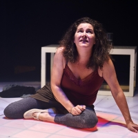 BWW Review: Science Meets Family Dysfunction in MOSQUITOES at Steep Theatre