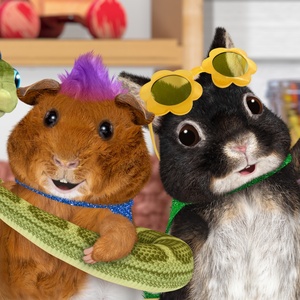 Exclusive: How Music Comes to Life in Apple’s Musical Series WONDER PETS: IN THE CITY - Broadway Theater Video