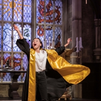 HARRY POTTER: MAGIC AT PLAY Extends Worldwide Debut Run in Chicago Through Labor Day Photo