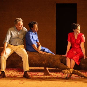 Review: ALL MY SONS, starring Bryan Cranston and Marianne Jean-Baptiste Photo
