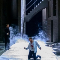 BWW Review: Paris Opera Gives Us a Look at the Met's New DON GIOVANNI from the…