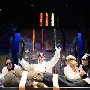 Review: YOUNG FRANKENSTEIN at Theatre Three Photo