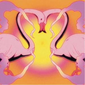 Flamingosis Drops 'Nebula Gazer' Single And Animated Visualizer By Space Dawg Photo