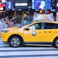 PHOTO: CATS Film Takes To The New York Streets With Cat Ear Taxi Toppers Photo