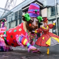 Panto Dame Joins Birmingham Bull In His Glad Rags Photo