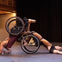 Disability Arts Ensemble Kinetic Light  Makes Lincoln Center Debut With UNDER MOMENT Photo