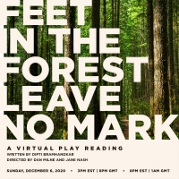 Live Virtual Reading of FEET IN THE FOREST LEAVE NO MARK to be Presented in December Photo