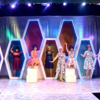 BWW Review: The Music of the 60's is Alive and Well at Desert Theatreworks With BEEHI Photo