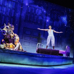 Review: LIFE OF PI Is Existentialist Magic at Benedum Center Photo