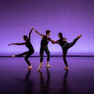 Review: CHERYLYN LAVAGNINO DANCE EXPLORES THE FRAGILITY OF EXISTENCE IN NEW PROGRAM a Photo