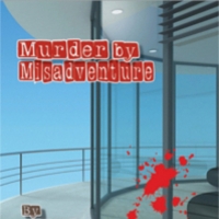 Metro Theatre Presents MURDER BY MISADVENTURE Photo