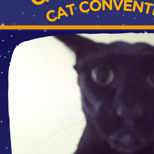 EVIL LARRY to Meet Fans at Catsbury Park Cat Convention