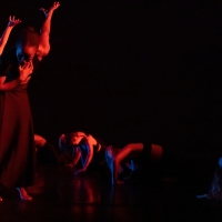NYC Dance Alliance Gala Will Feature ABT, Martha Graham Dance Co, and More