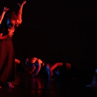 NYC Dance Alliance Gala Will Feature ABT, Martha Graham Dance Co, and More Video