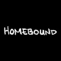 BWW Video: Episode Two of Round House Theatre's Webseries Homebound Photo