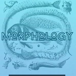 MORPHOLOGY to Make New England Premiere at Boston Playwrights Theatre Photo