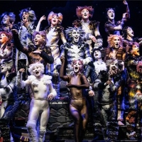 BWW Previews: CATS IS A 'PURR-FECT' SHOW FOR THE HOLIDAYS  at Straz Center