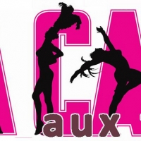 LA CAGE AUX FOLLES Will Open on the Pandora Stage Photo