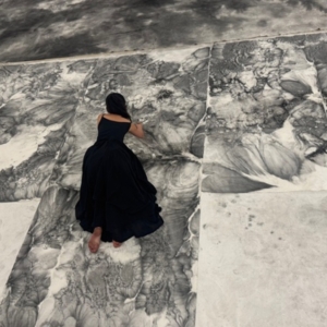 METAMORPHOSIS: Chinese Imagination And Transformation to Open at China Institute Gall Photo