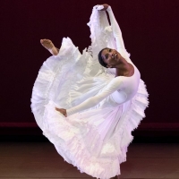 Ailey All Access Returns with a Fall Series of Free Digital Broadcasts