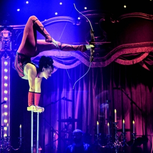 Tickets Now On Sale For Circus Arts Conservatory's 2023-2024 Season Photo