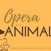 Opera Memphis Continues Online 30 DAYS OF OPERA Series With OPERA FOR ANIMALS Photo